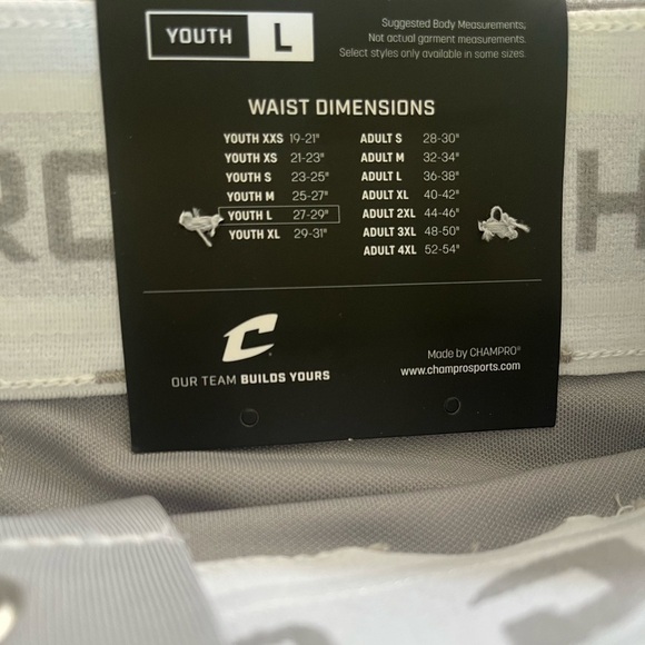 New Champro Youth Large Grey Baseball Pants With Navy Stripe - Picture 3 of 8